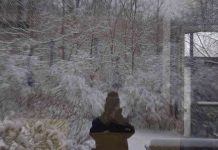 Snow Reflection Hannah Rubenstein for Simply Not Just a Woman