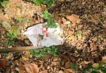 littered plastic by sonja lippmann for All Of Us Are Dying.jpg
