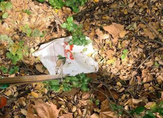 littered plastic by sonja lippmann for All Of Us Are Dying.jpg