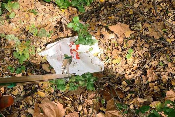 littered plastic by sonja lippmann for All Of Us Are Dying.jpg