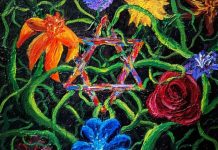 Finding Spirituality in Nature by Rivka Schafer