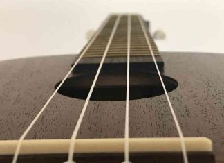 Ukulele_HannahRubenstein_Trapped&Alone