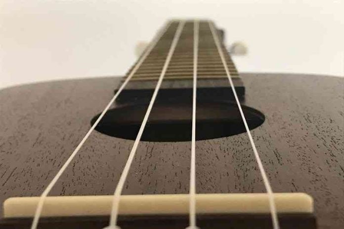 Ukulele_HannahRubenstein_Trapped&Alone