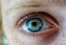 Blue Eye by Gianna Goldfarb for Eyes Kept Open by Sophie Kessler
