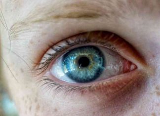 Blue Eye by Gianna Goldfarb for Eyes Kept Open by Sophie Kessler