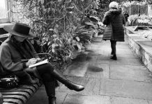 Journaling by Maddie Renert for The Trees Are Bleeding Honey by Orli Adamski