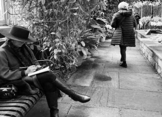 Journaling by Maddie Renert for The Trees Are Bleeding Honey by Orli Adamski