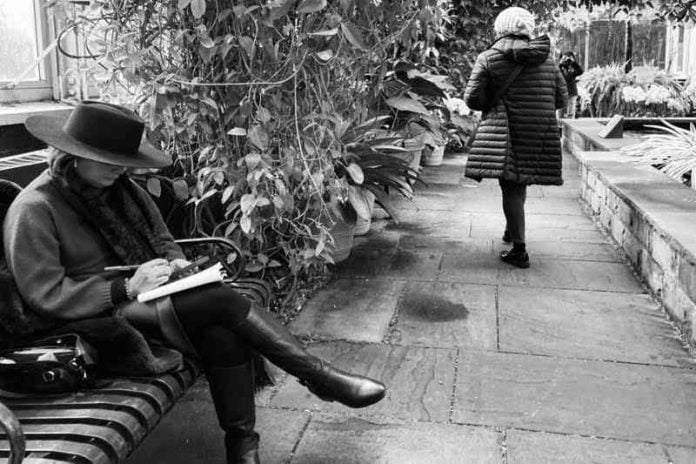 Journaling by Maddie Renert for The Trees Are Bleeding Honey by Orli Adamski