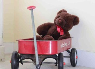 Teddy Bear taken by Maddie Renert for 7 Carol Street by Thea Katz