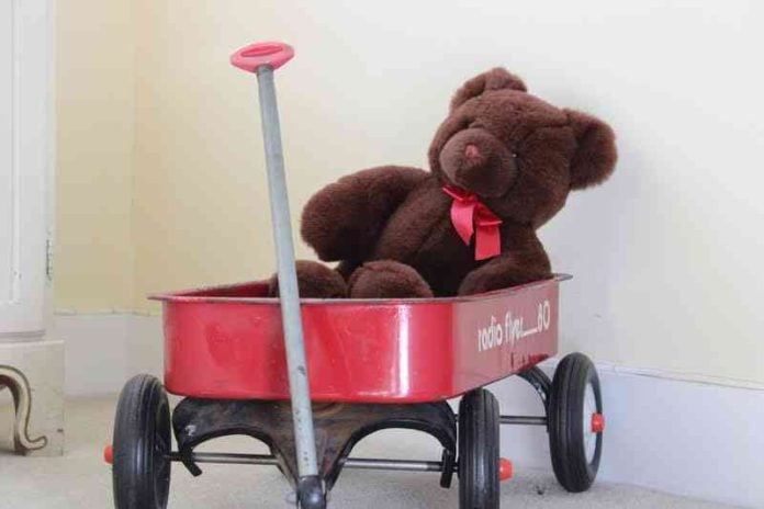 Teddy Bear taken by Maddie Renert for 7 Carol Street by Thea Katz