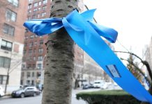 A blue ribbon printed with an Israeli flag, tied around a tree trunk.