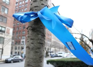 A blue ribbon printed with an Israeli flag, tied around a tree trunk.