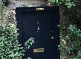 An angled shot of a black door set into a concrete wall that is framed by flowers. The door is numbered with a golden 2 and includes a letter box and door knocker shaped like an insect. A plaque at the top reads "Mind your head."