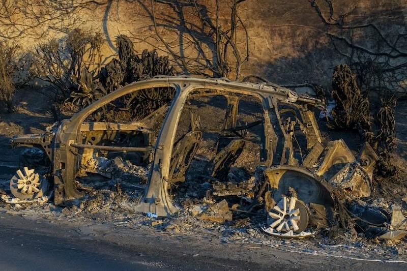 Pacific Palisades Fire Damage