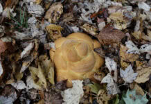 Sticky Hands A round challah sits in a pile of brown, fallen leaves.