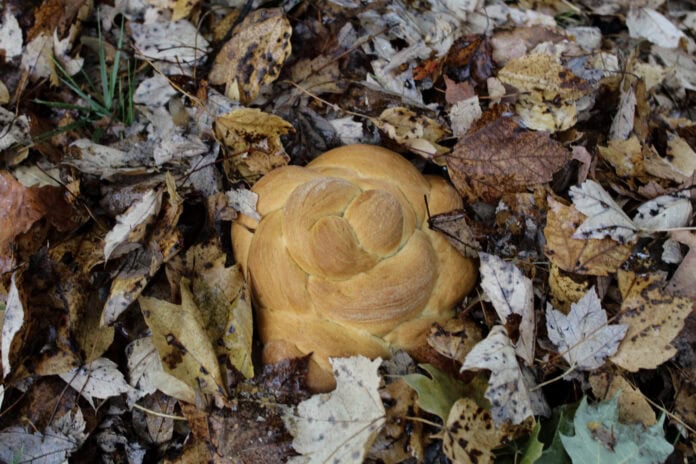 A round challah sits in a pile of brown, fallen leaves.
