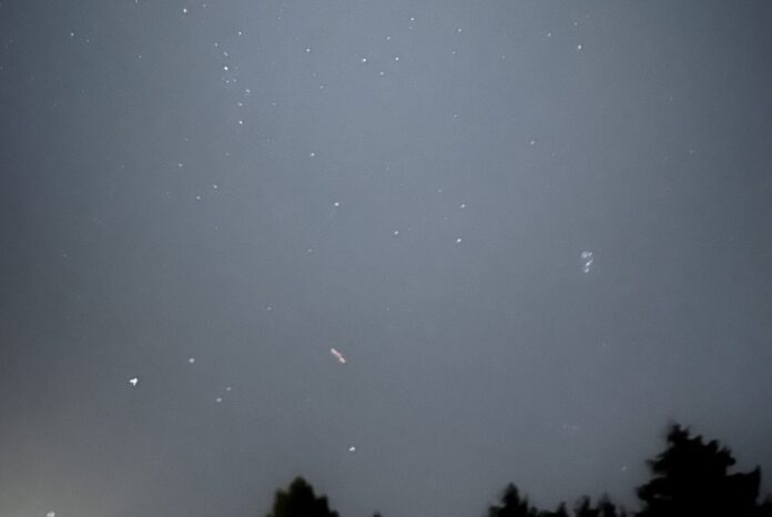 A grey night sky is filled with scattered stars. Silhouettes of tree tops line the bottom.