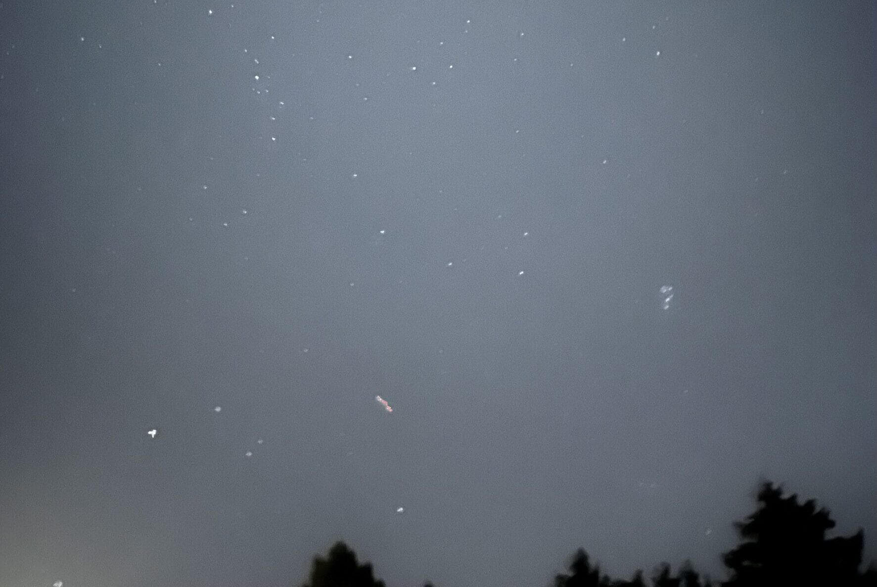 The Favorite Child The Favorite Child