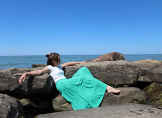 A young woman in a turquoise skirt lounges on a rocky outcrop beside a body of water. A lone seagull flies overhead.