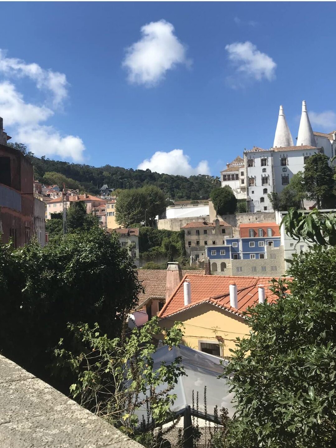 Colorful buildings in Lisbon, Portugal surrounded by trees in the sunlight.