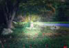 A soft halo of light surrounds a small statue of a child in a lush garden.