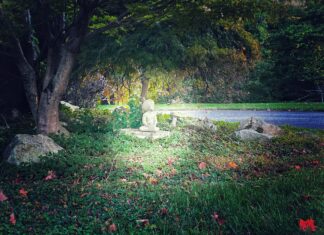 The Risk That Saved Me A soft halo of light surrounds a small statue of a child in a lush garden.